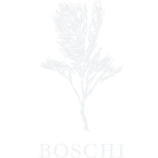 Boschi logo